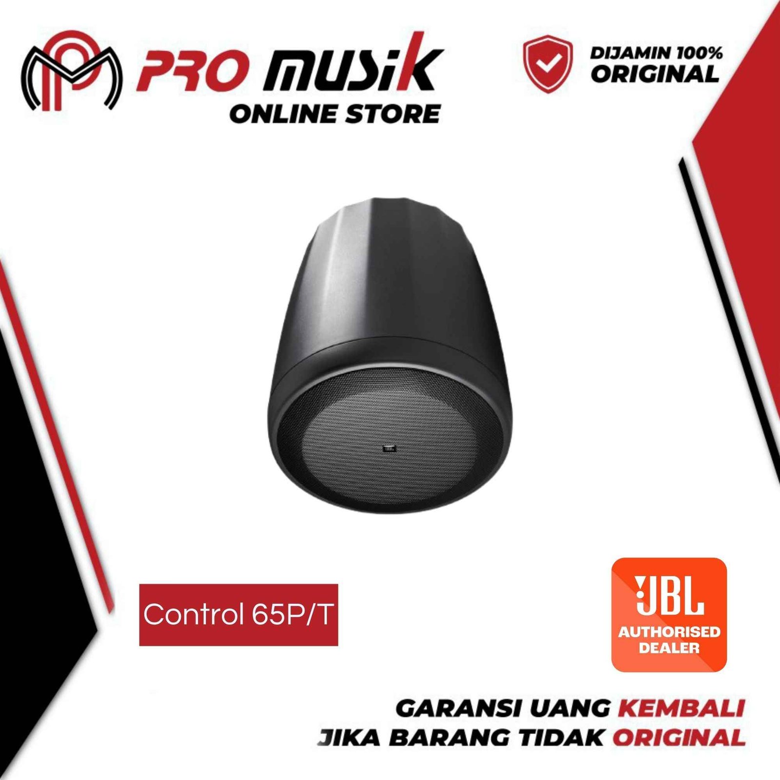 JBL Control 65P/T Compact Full-Range Pendant Speaker