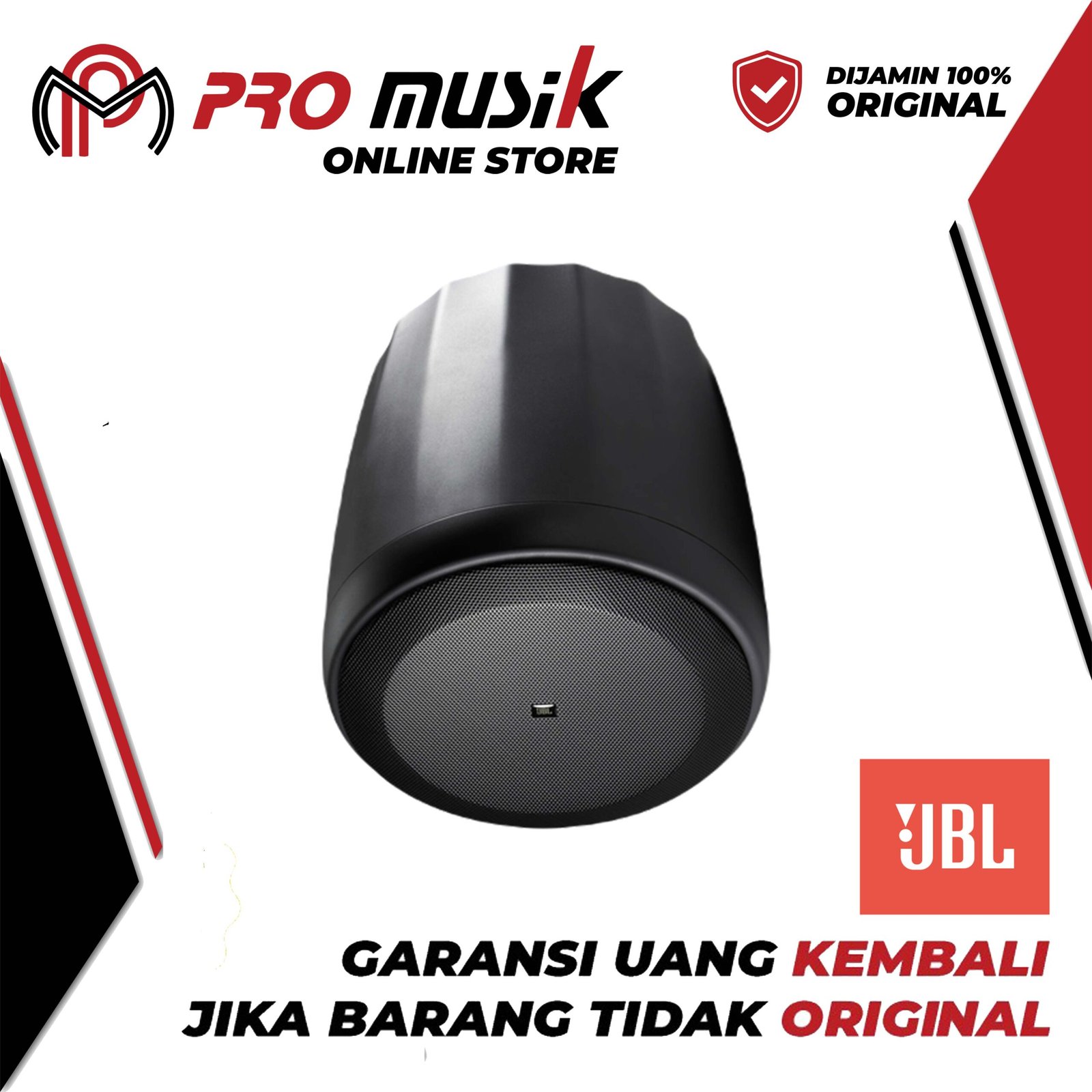 Control 60PS/T Pendant Subwoofer with Crossover